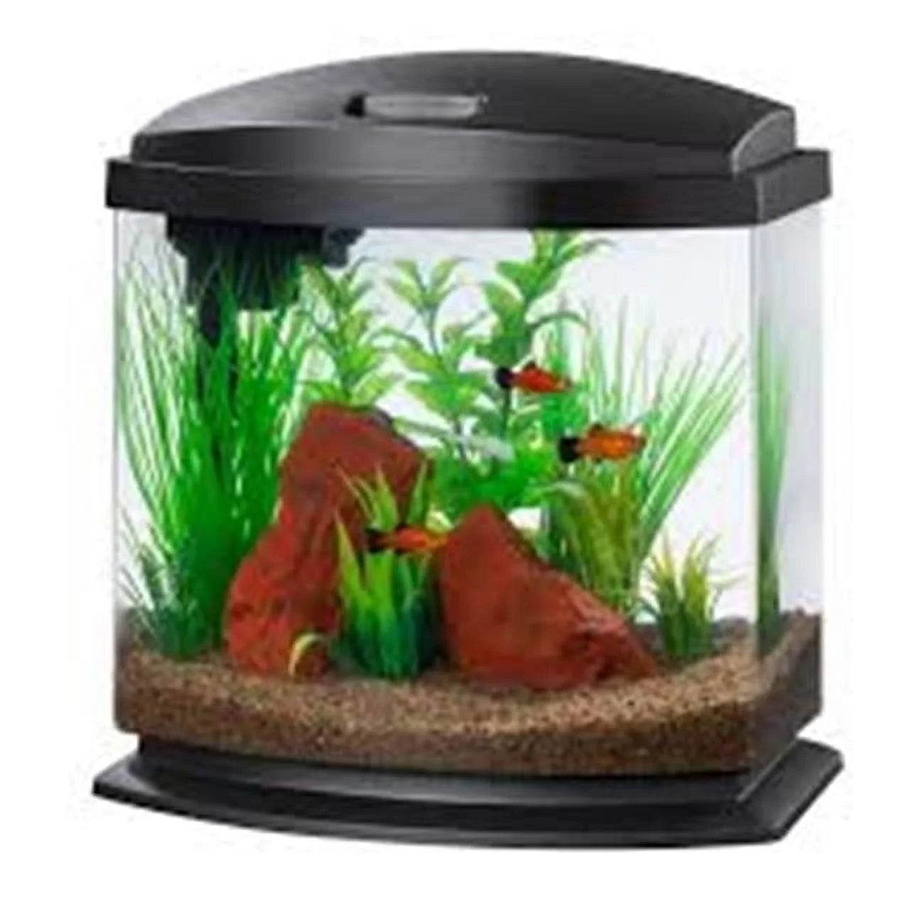 Aqueon Minibow 2.5 Gallon Aquarium Kit