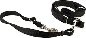Pet Safe Hands Free Leash